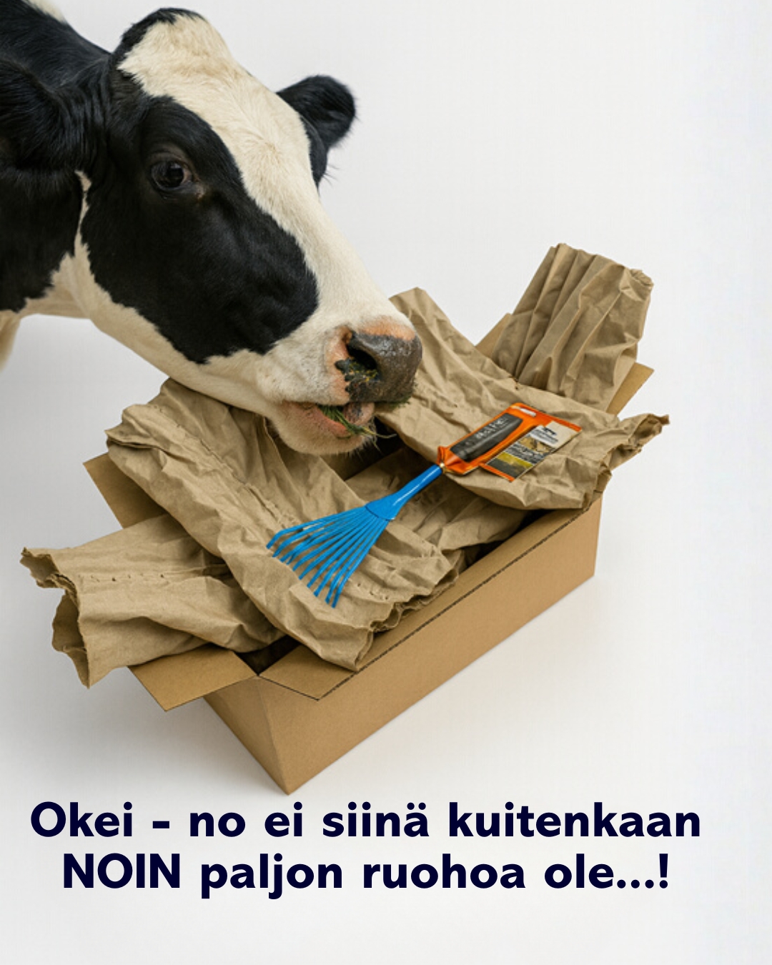FI_GrasiKraft.jpg