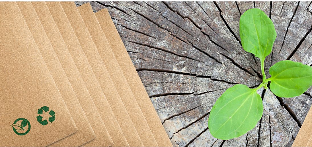green-packaging-1096x519.jpg