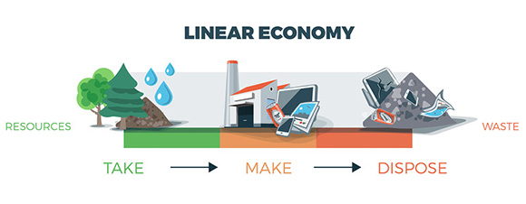 Linear economy