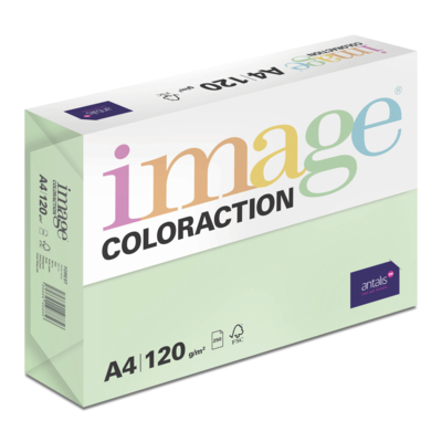 Image Coloraction