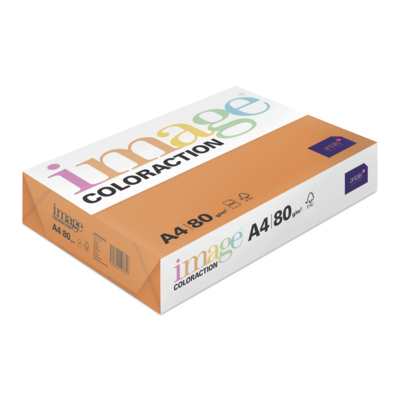 Image Coloraction