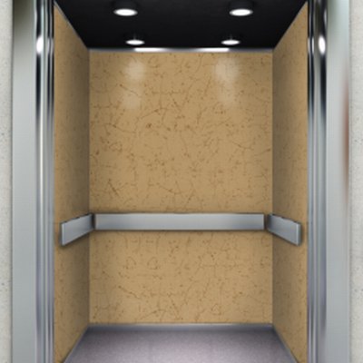 Coala Interior Film Steel