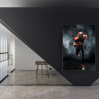 Coala Poster Premium