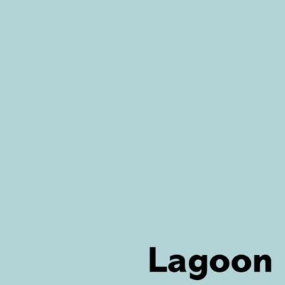 Image Coloraction