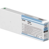 Epson Ink HDX